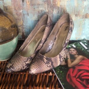 Massimo Faux Snake Heels - Brown & Black